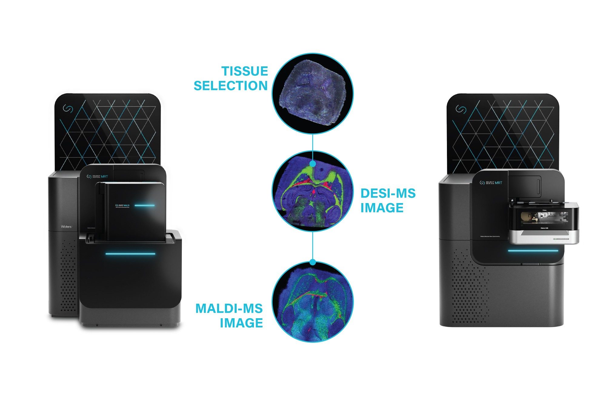 Mass Spectrometry Imaging | DESI and MALDI | Waters